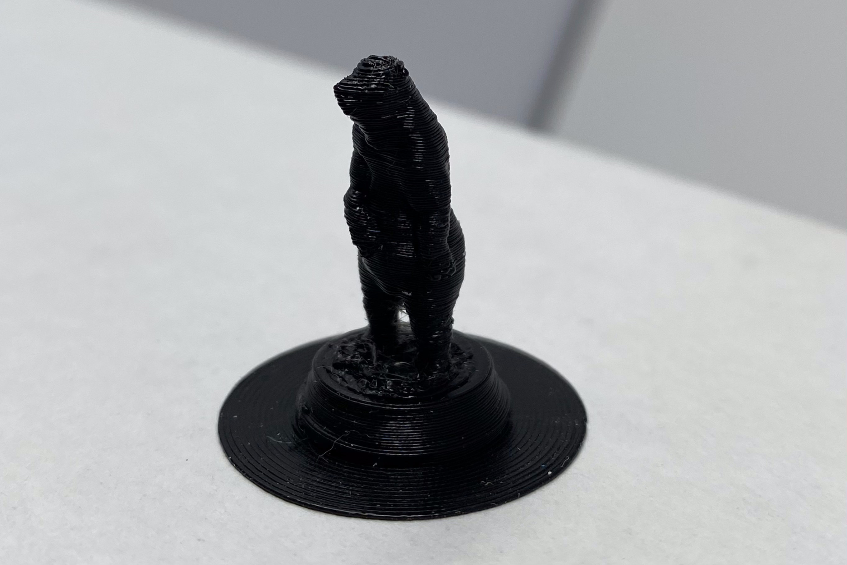 3d print of bear