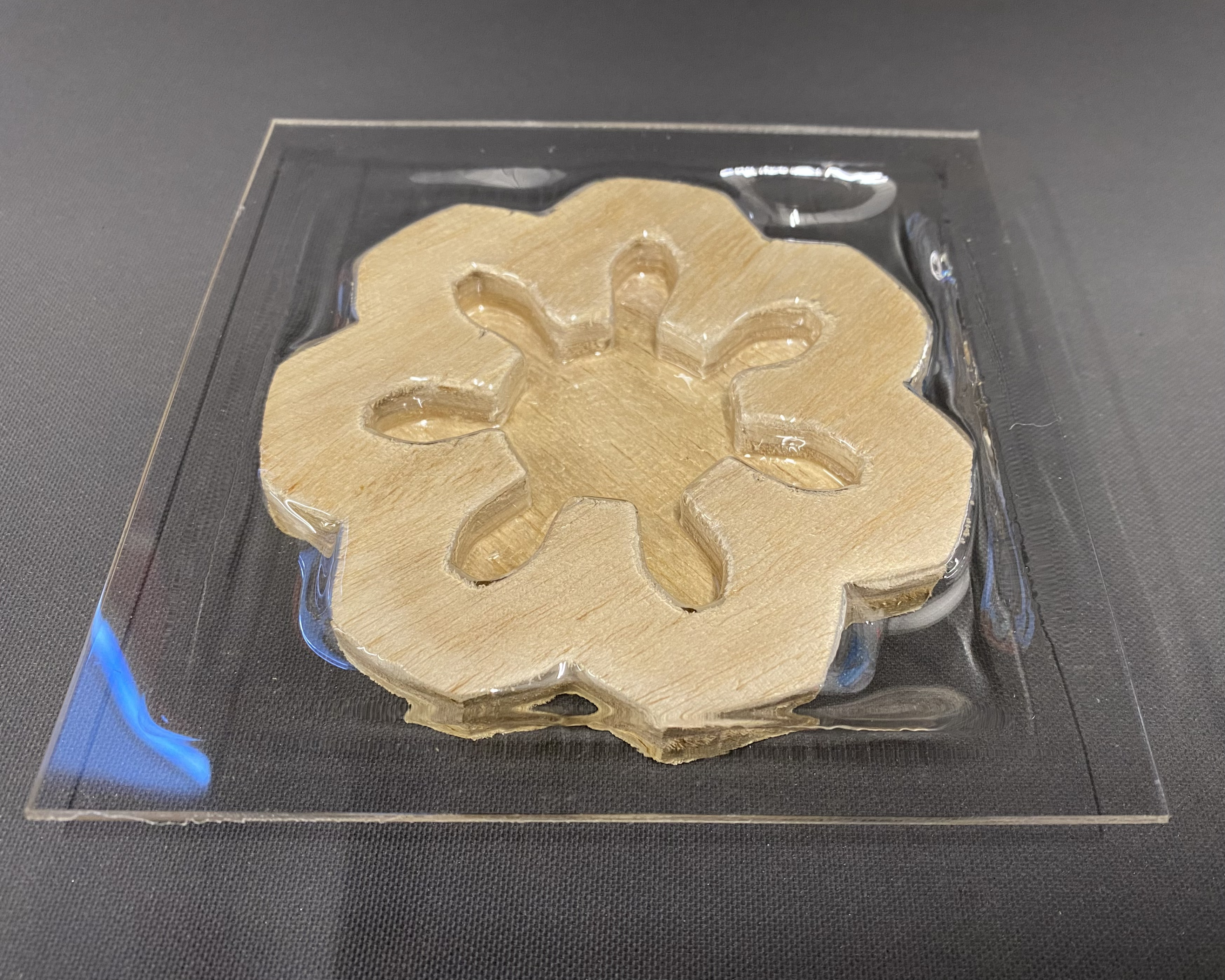 vacuum formed plastic with wood stuck to it